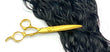 Majesty (Gold)
